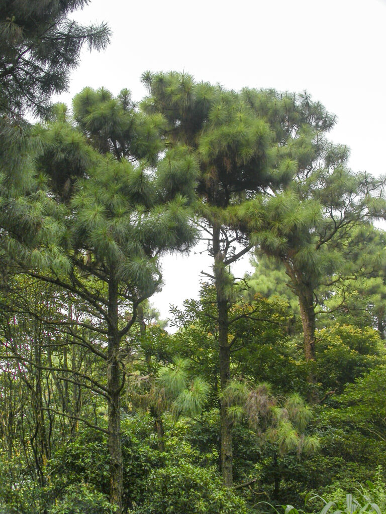This image has an empty alt attribute; its file name is 90_HKCI2022.315.5_Edit_Edit-768x1024.jpg