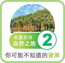 香港的自然資源