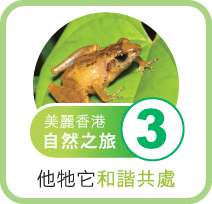 香港的動植物