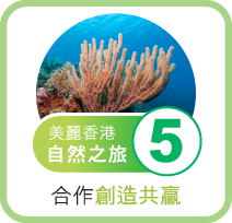 環保在香港
